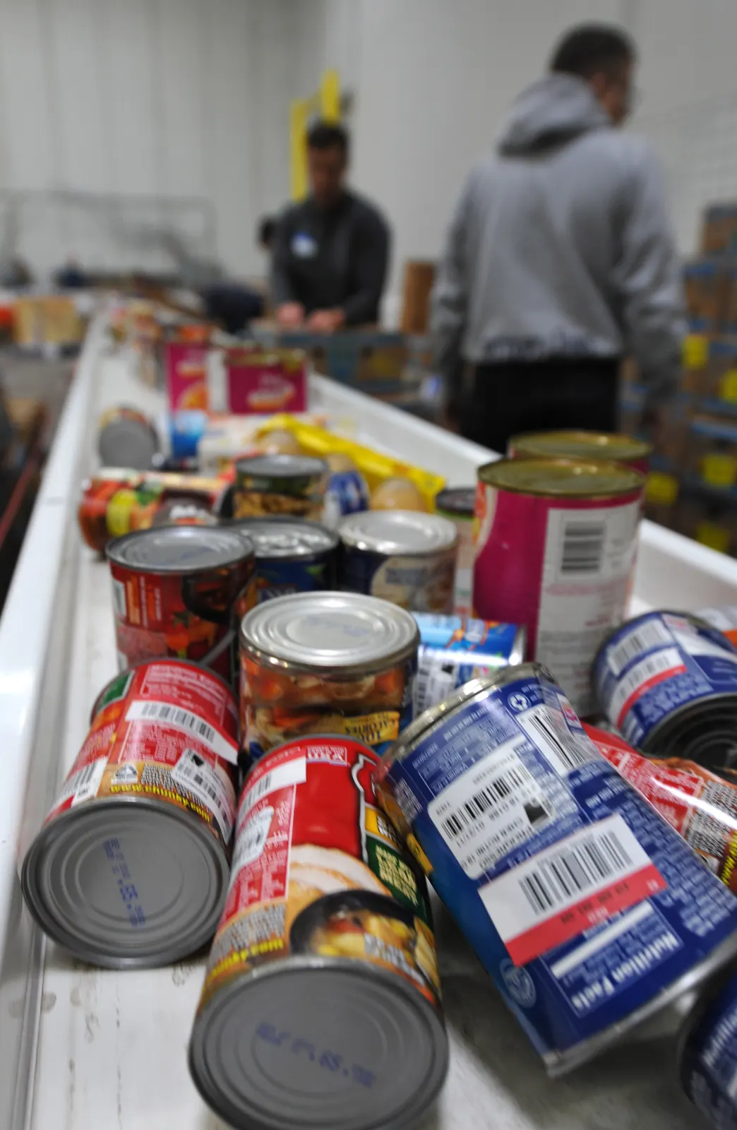 Canned goods moving along a sorting line at a community food pantry